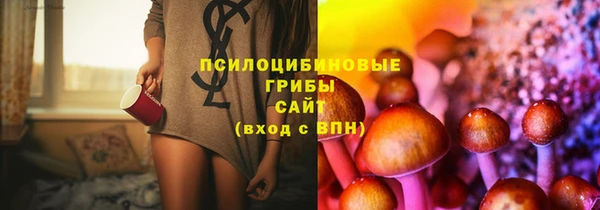 a pvp Новодвинск