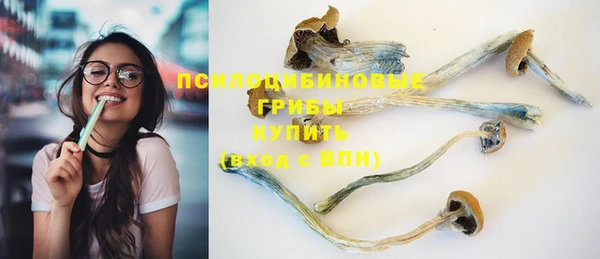 a pvp Новодвинск