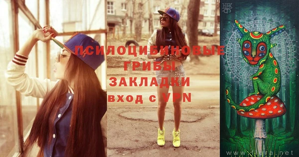 jwh Новозыбков