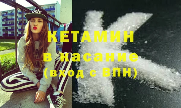 шишки Нея