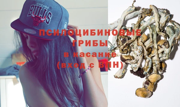 шишки Нефтекумск
