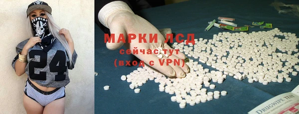 a pvp Новодвинск