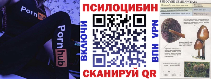 мориарти состав  Нюрба  Галлюциногенные грибы прущие грибы 