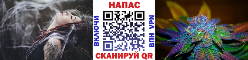 Конопля Bruce Banner  Нюрба 
